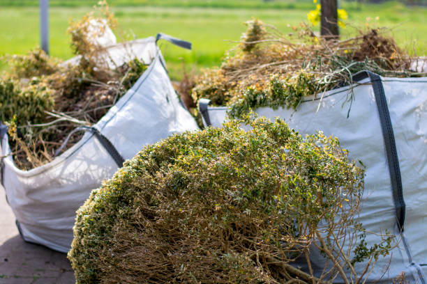 Best Electronics Removal Services  in Biglerville, PA